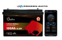 OLALITIO Lithium Batterie LiFePO4 Smart BMS 12,8V/100Ah 1280Wh Bluetooth OLA-12-100 für Wohnwagen und Wohnmobile
